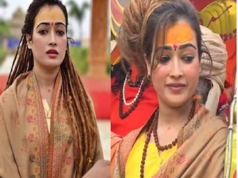 লম্বাটে মুখ, টানা চোখ, এক ঢাল চুল। সৌন্দর্য যেন উপচে পড়ছে। মাত্র ৩০ বছর বয়স। জীবন উপভোগ করার এই তো সময়। কিন্তু তিনি সব ছেড়েছুড়ে বেছে নিয়েছেন সাধ্বীর জীবন। কপালে বিভূতি, গলার রুদ্রাক্ষের মালা, পরনে গেরুয়া বসন। এসেছেন মহাকুম্ভে। অনেকেই বলছেন, “মহাকুম্ভের সবচেয়ে সুন্দরী সাধ্বী।”