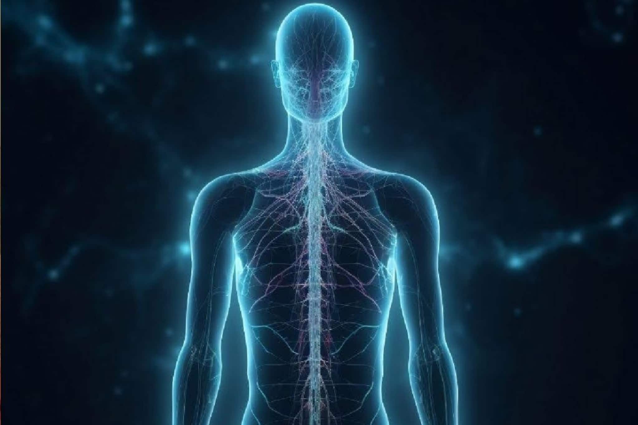 মানুষের শরীরের এমন একটা অংশ, কংক্রিটের থেকেও শক্ত! বলুন তো, নামটা কী!