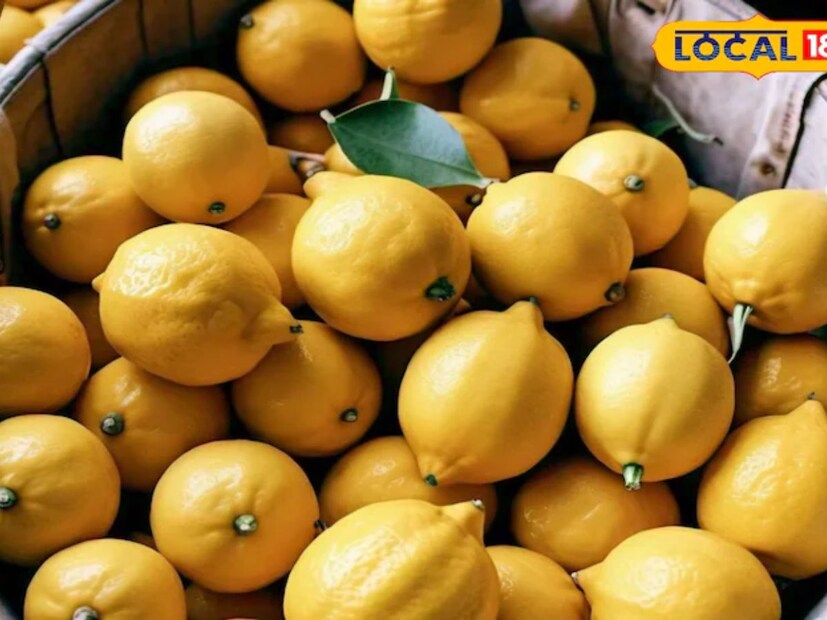 বায়োজাইম হল জৈব সার। এর দামও খুবই কম। লেবু গাছে বায়োজাইম যোগ করার সঠিক পদ্ধতিও জানতে হবে। যেমন তেমন ভাবে যোগ করলে হবে না। বায়োজাইম হল জৈব সার। এর দামও খুবই কম। লেবু গাছে বায়োজাইম যোগ করার সঠিক পদ্ধতিও জানতে হবে। যেমন তেমন ভাবে যোগ করলে হবে না। 