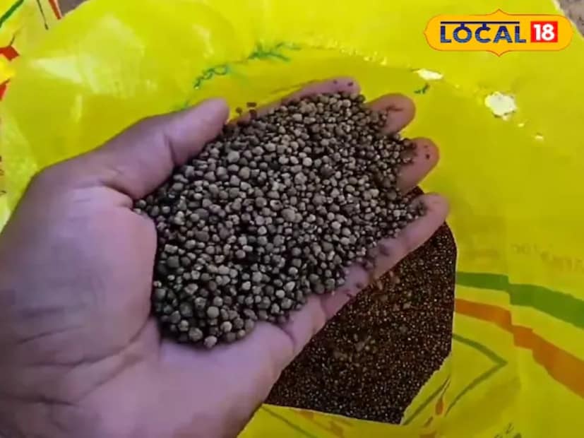 এটি হল বায়োজাইম। এই বিশেষ বস্তটি হল ম&#x200d;্যাজিকের মতো কাজ করে। লেবু গাছে বায়োজাইম যোগ করে, ফল এবং ফুল উভয়ের ফলন উল্লেখযোগ্যভাবে বৃদ্ধি পায় বায়োজাইম দিলে।