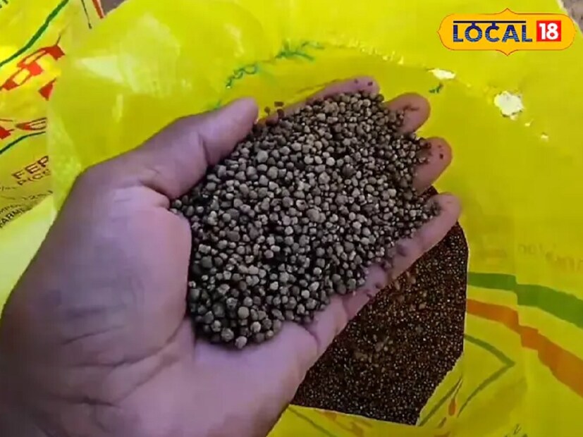 বায়োজাইম একটি প্রাকৃতিক পণ্য। লেবু গাছে বায়োজাইম যোগ করে, ফল এবং ফুল উভয়ের ফলন উল্লেখযোগ্যভাবে বৃদ্ধি পায়। গাছও দ্রুত বৃদ্ধি পায়। বায়োজাইমে প্রোটিন, কার্বোহাইড্রেট, অজৈব লবণ, অ্যাসকোফিলাম নোডোসাম (Ascophyllum Nodosum), ভিটামিন K-এর মতো অনেক উপাদান রয়েছে। যা লেবুর আকারও বাড়ায়। লেবু গাছে অবশ্যই বায়োজাইম ব্যবহার করতে হবে।