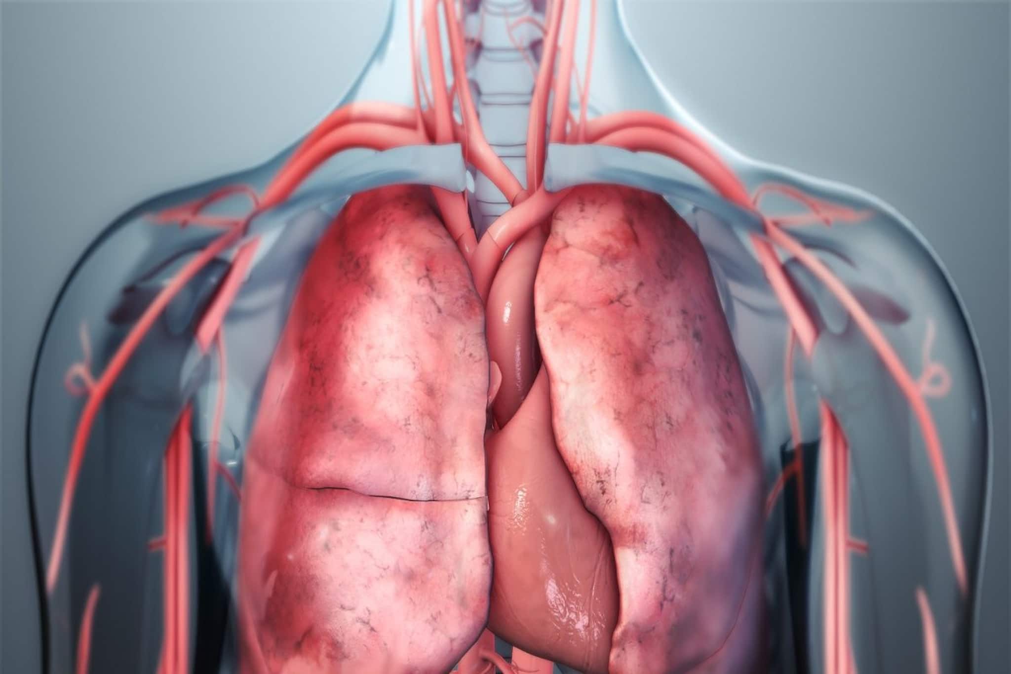 দিনে মাত্র ১৫ মিনিট...! ঘরোয়া ৩ কাজেই শক্তিশালী ফুসফুস, শুষে নেবে সব 'বিষ'!