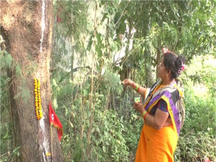 প্রকাণ্ড নিম গাছ। ডালপালা নিয়ে ঝাঁকরা চেহারা। মাটি থেকে সোজা উপরে উঠে গিয়েছে। এই নিম গাছ নিয়েই নিয়েই এখন জোর চর্চা চলছে রাজস্থানের করৌলীর ভাঁকরি গ্রামে। দূরদূরান্ত থেকে মানুষ আসছেন। ভিড় জমাচ্ছেন গাছের নীচে। সবার মুখে এখন শুধু একটাই আলোচনা। Photo- Collected 