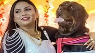 স্বপ্না তাঁর কুকুরের প্রতিটি জন্মদিনে এভাবেই সমাজসেবা করেন