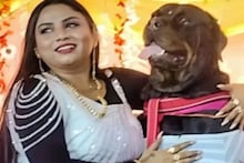 পোষা কুকুরের জন্মদিনে ৫ লক্ষ টাকা খরচ তরুণীর! দ্বন্দ্ব সোশ্যাল মিডিয়ায়