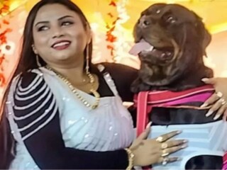 স্বপ্না তাঁর কুকুরের প্রতিটি জন্মদিনে এভাবেই সমাজসেবা করেন