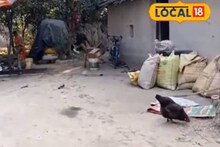 মাত্র কয়েকদিনে খালি হয়ে যাবে গোটা গ্রাম! বড় আতঙ্কে বাসিন্দারা