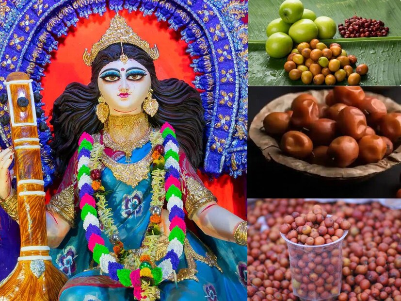 শীতের মরশুমের অন্যতম ফল কুল। মুখরোচক এই ফলের স্বাদ ভাল লাগে না, এমন মানুষ বিরল। কুলের টকমিষ্টি স্বাদ তারিয়ে তারিয়ে উপভোগের জন্য অনেকেই অপেক্ষা করে থাকেন শীতকালের জন্য।