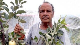 কৃষক এবং কৃষিবিজ্ঞানী হরিমন শর্মা