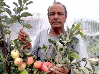 কৃষক এবং কৃষিবিজ্ঞানী হরিমন শর্মা