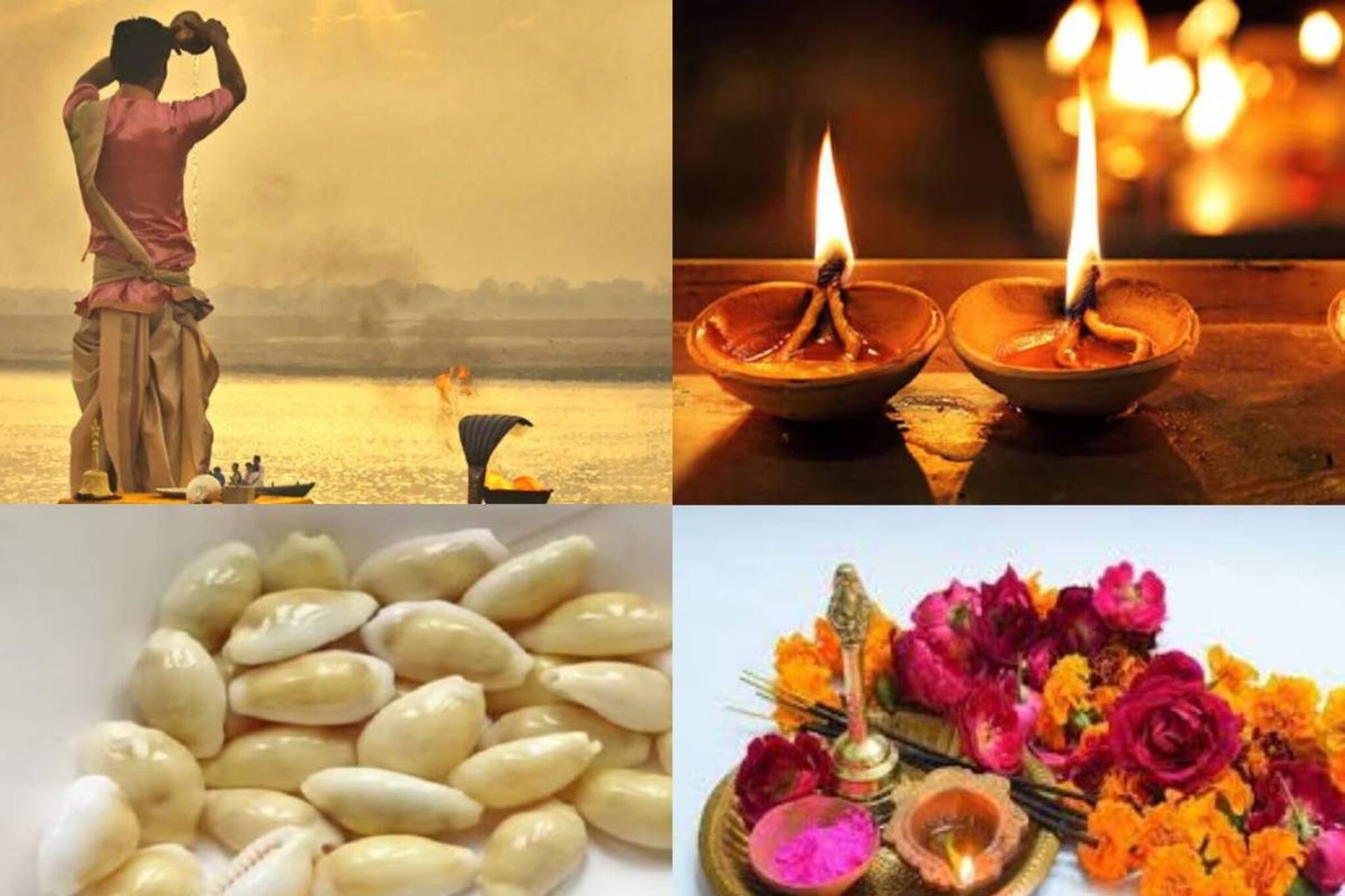 চলছে মাঘমাস, ৩ গাছের ১ টি বাড়িতে রোপণ করলেই পাবেন মা লক্ষ্মীর আশীর্বাদ! দূর অভাব ও অমঙ্গল