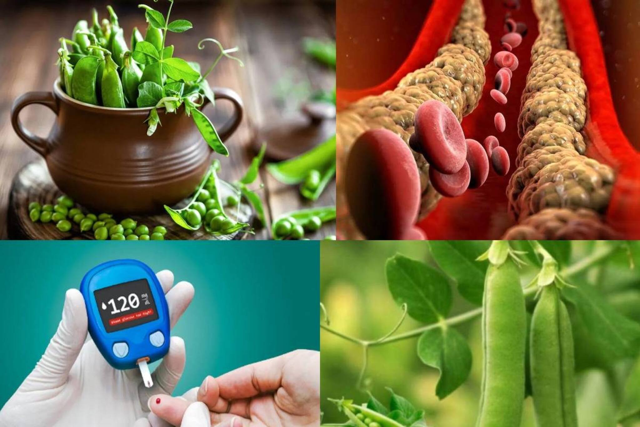 কোষ্ঠকাঠিন্যর যম! কোলেস্টেরলে মহৌষধ! ডায়াবেটিসে অব্যর্থ মটরশুঁটির খোসা! জানুন কীভাবে খাবেন