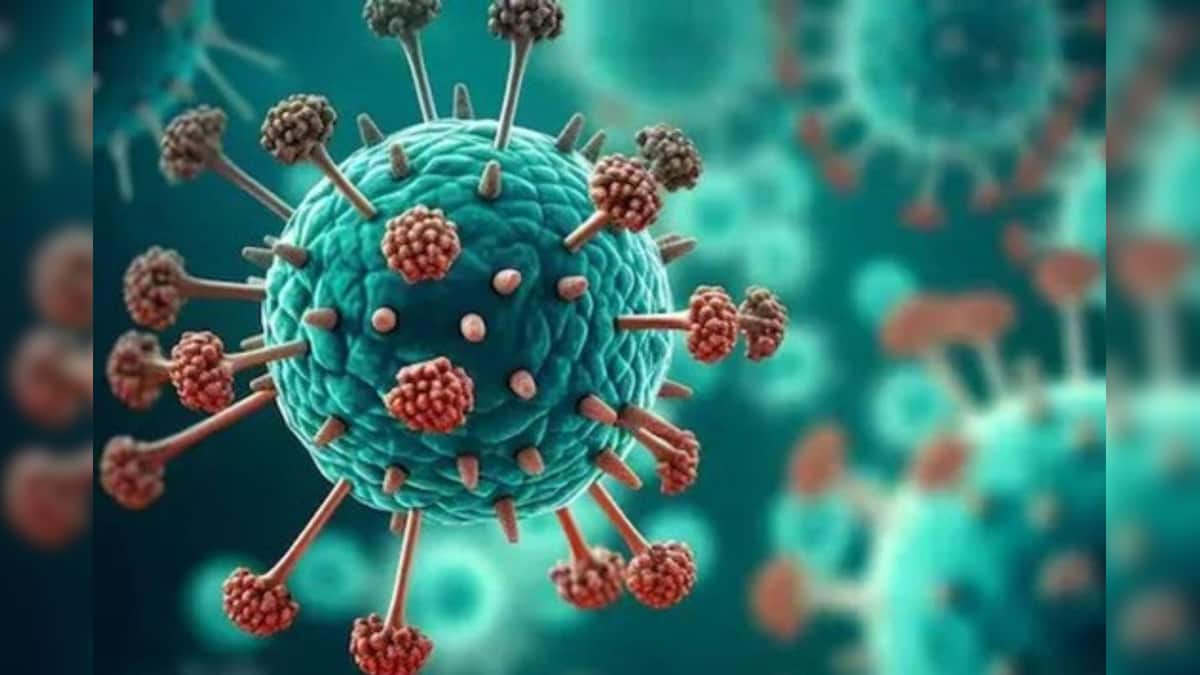 First HMPV Positive Detected in India: ভারতে প্রথম ধরা পড়ল ‘HMPV পজিটিভ’ রোগী! আক্রান্ত ৮ মাস বয়সি শিশু First HMPV Positive Detected in India: ভারতে প্রথম ধরা পড়ল ‘HMPV পজিটিভ’ রোগী! আক্রান্ত ৮ মাস বয়সি শিশু