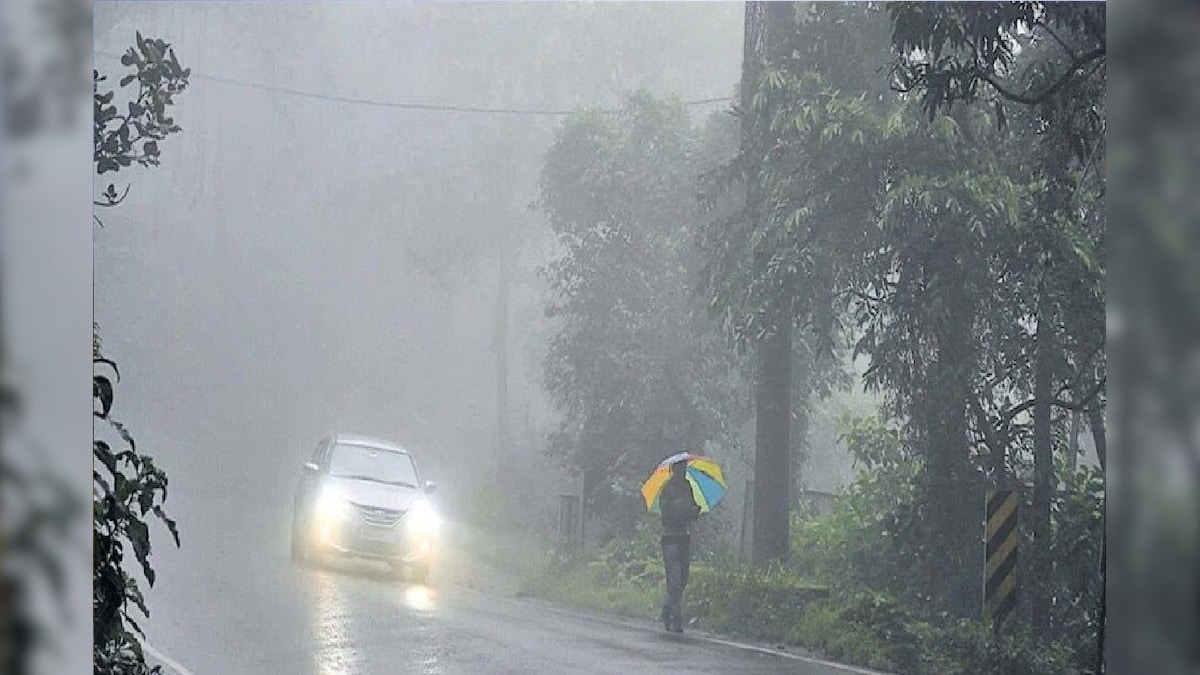 ফের বৃষ্টির পূর্বাভাস! আগামী ২৪ ঘণ্টায় ভিজতে চলেছে রাজ্যের একাধিক জেলা, দেখুন ভিডিও