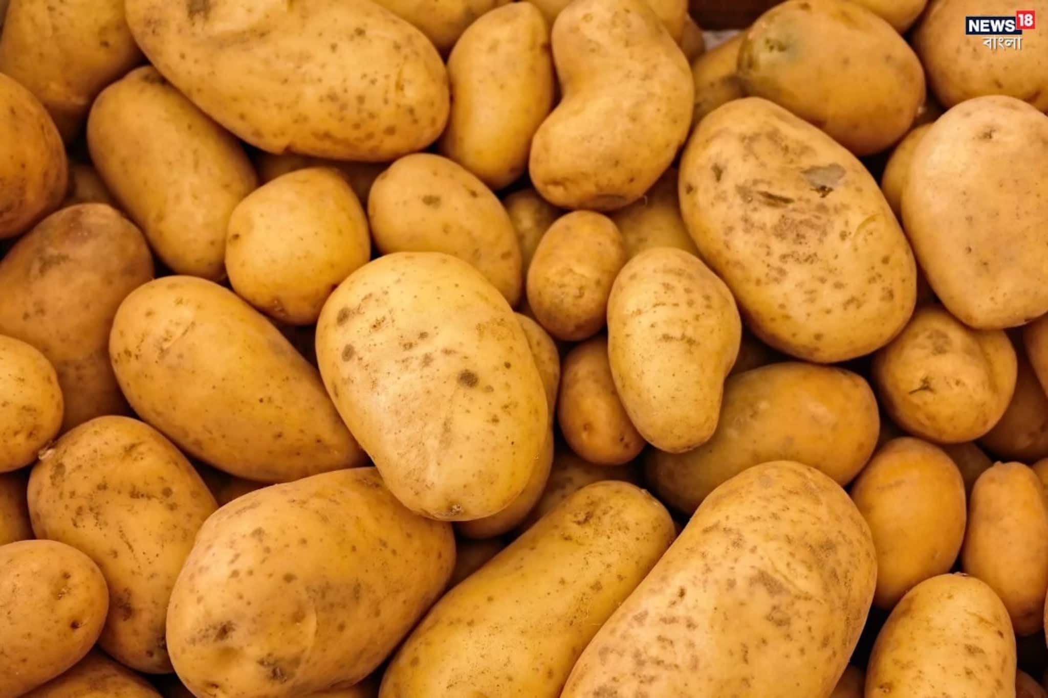 আবার বাড়তে পারে আলুর দাম! কেন এমন আশঙ্কা চাষিদের? মাথায় হাত ক্রেতাদের, দেখুন