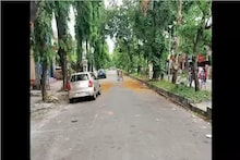 নতুন বছরের প্রথম দিনেই দুঃসংবাদ, রাজারহাটে গাছে এ কী দেখা গেল