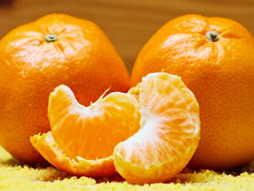 ব্লাডপ্রেশার, সুগারের স্তর নিয়ন্ত্রণের সঙ্গে সঙ্গে পাচন ক্ষমতা অত্যন্ত শক্তিশালী করা যাতে যায় সেই দিকে বিশেষ ভাবে নজর রাখতে হবে ৷ প্রতীকী ছবি ৷