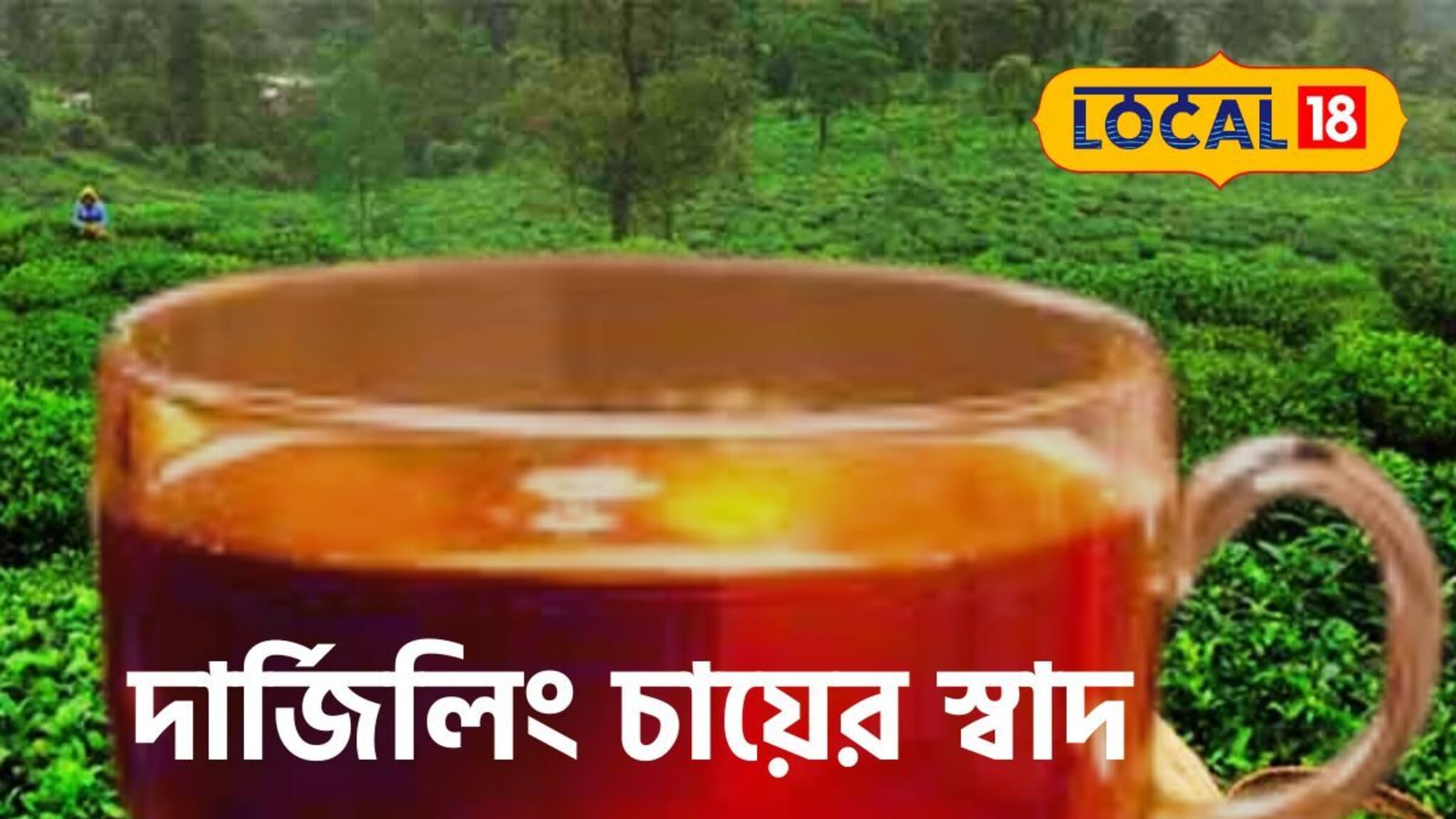 শীতের বাজারে এক প্রশ্নই ঘামাবে?দার্জিলিং চায়ের স্বাদ কত রকমের? সরাসরি চ্যালেঞ্জ