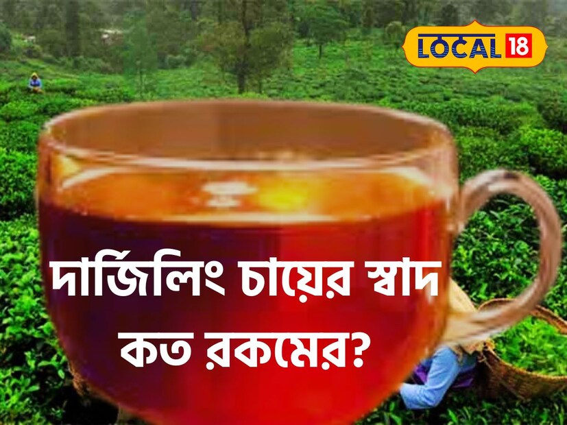 দার্জিলিং: পাহাড়ের রানি দার্জিলিংয়ের কথা মাথায় আসলেই সবার প্রথমে মাথায় আসে পাহাড়ের ঢাল বেয়ে চাষ করা সবুজে ঘেরা সেই দার্জিলিং চা। রিপোর্টিং সুজয় ঘোষ, প্রতীকী ছবি ৷
