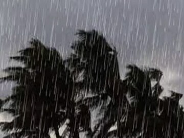 অতি ভারী বৃষ্টি, বজ্রবিদ্যুৎ, ঝড়... আগামী ৩ দিন ৭ রাজ্য কাঁপাবে আবহাওয়া, কী হবে বাংলায়?