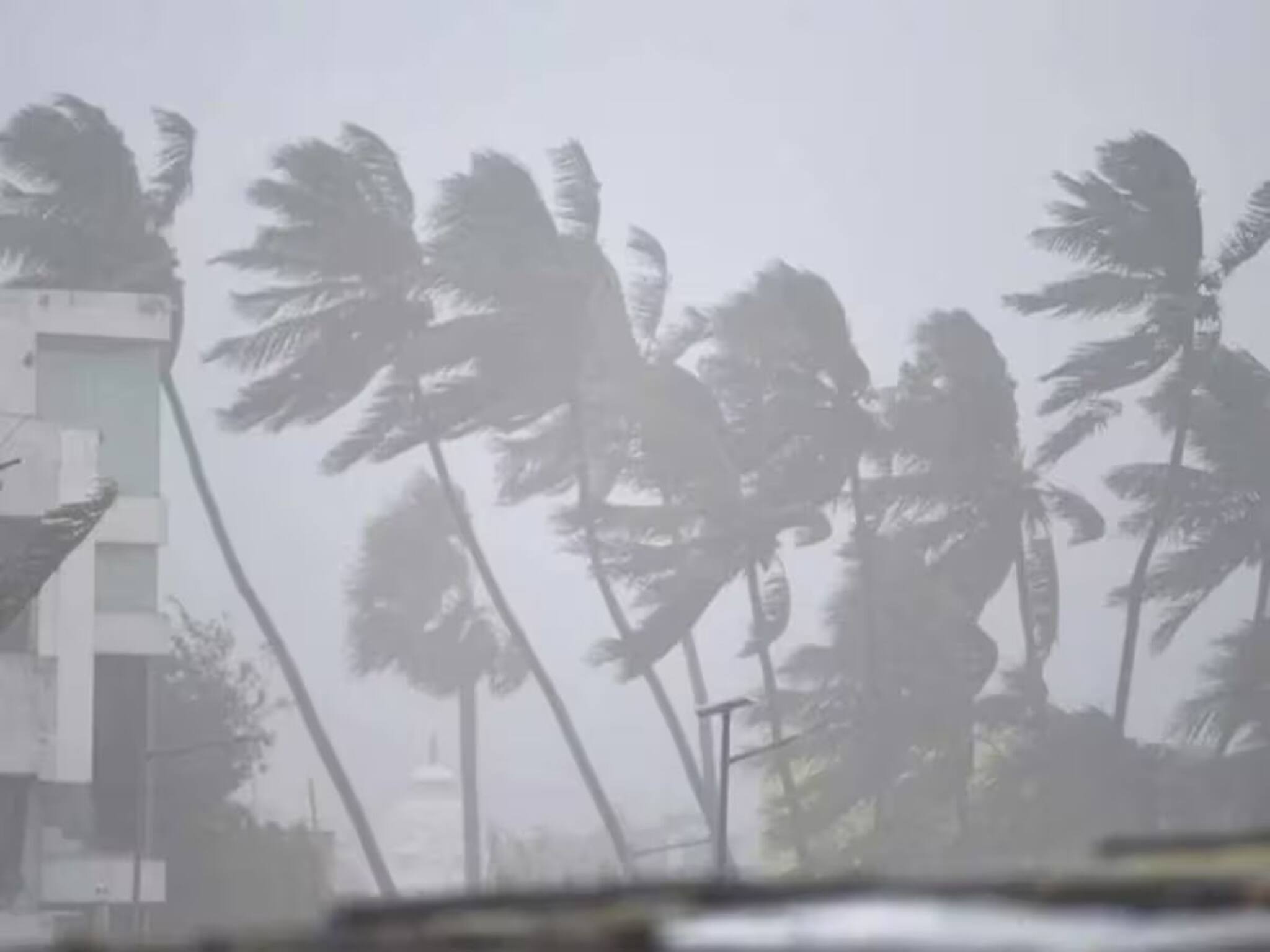 ঘূর্ণাবর্তের জোড়া ফলা, মরার ওপর খাঁড়ার ঘা পশ্চিমী ঝঞ্ঝা, সরস্বতী পুজোয় কোথায় বৃষ্টি