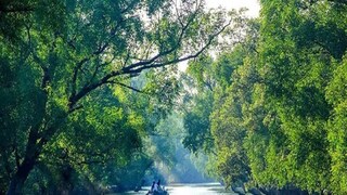 ফাইল ছবি ফাইল ছবি