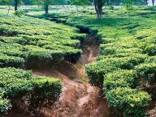 রবিবার এবং সোমবার উত্তরবঙ্গের সব জেলার দার্জিলিং, জলপাইগুড়ি, কালিম্পং, আলিপুরদুয়ার, কোচবিহার, উত্তর দিনাজপুর, দক্ষিণ দিনাজপুর এবং মালদহে আবহাওয়া শুষ্ক থাকবে।