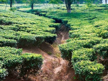 রবিবার এবং সোমবার উত্তরবঙ্গের সব জেলার দার্জিলিং, জলপাইগুড়ি, কালিম্পং, আলিপুরদুয়ার, কোচবিহার, উত্তর দিনাজপুর, দক্ষিণ দিনাজপুর এবং মালদহে আবহাওয়া শুষ্ক থাকবে।