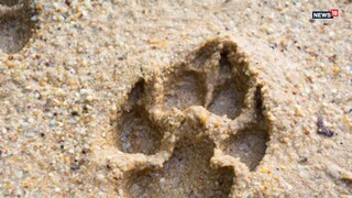 প্রতীকী ছবি