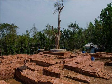 মোগলমারি