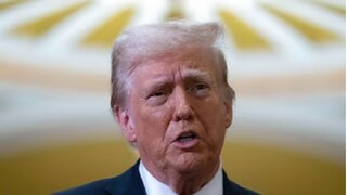 পাকিস্তানে ভারতের প্রত্যাঘাতের আবহে কী বললেন ট্রাম্প? (image- collected)