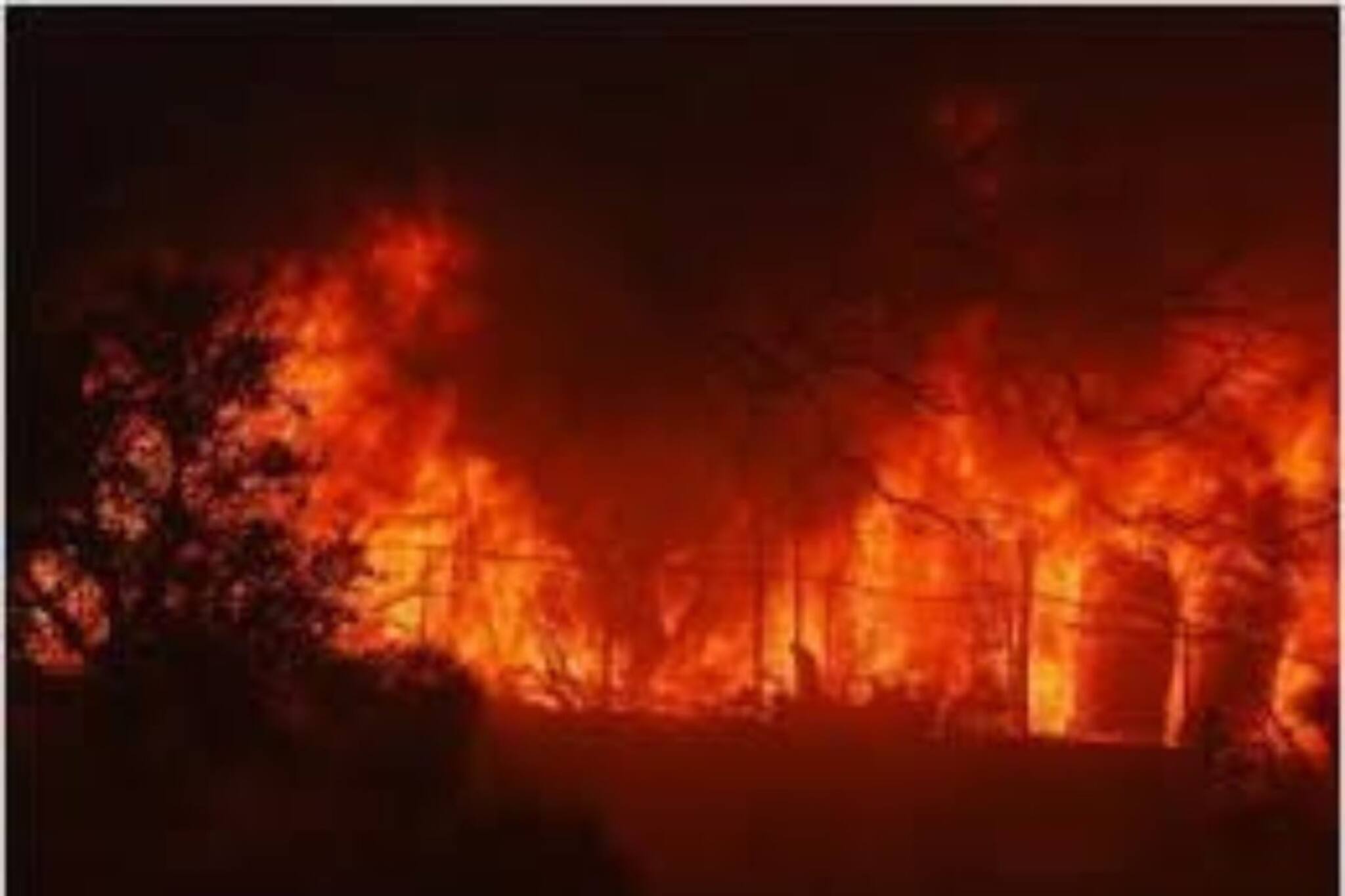 বস্তিজুড়ে কান্না, হাহাকার... পুড়ে ছাই শেষ সম্বলটুকুও! দেখুন ভিডিও