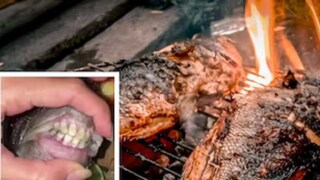 সমুদ্র থেকে মাছ এনে রান্না চাপানোর তোড়জোড় করছিলেন, তারপরেই আতঙ্কে চেঁচিয়ে উঠলেন, খাওয়াই হল না আর! ভাইরাল ভয়ঙ্কর দৃশ্য (Credit- Instagram/Paula Moreira)