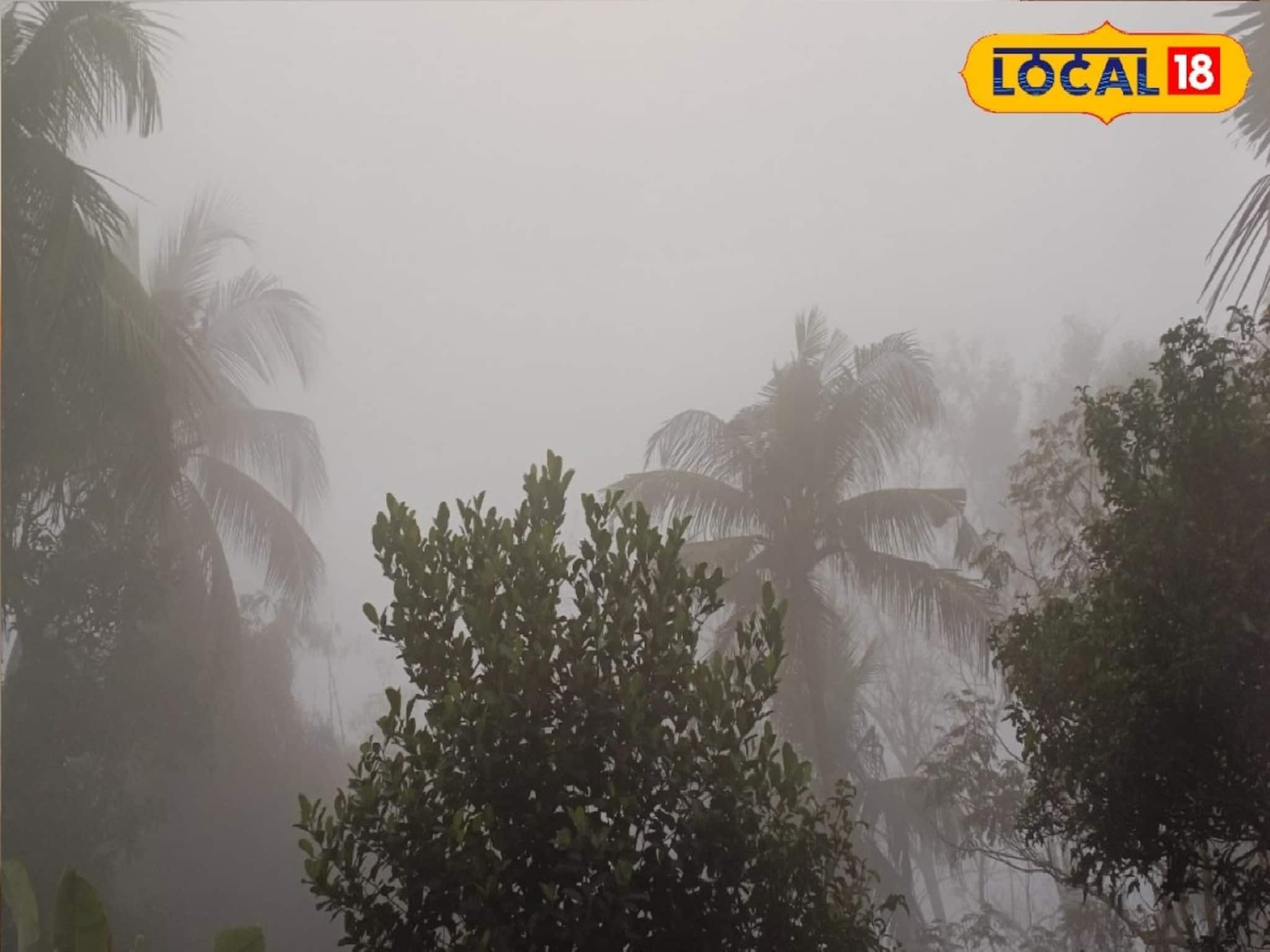 ঘিরে ধরছে কুয়াশা, শীতের হাওয়ার নাচন শুরু এই ৫ জেলায়! ঠক ঠক কাঁপুনি, বড় খবর