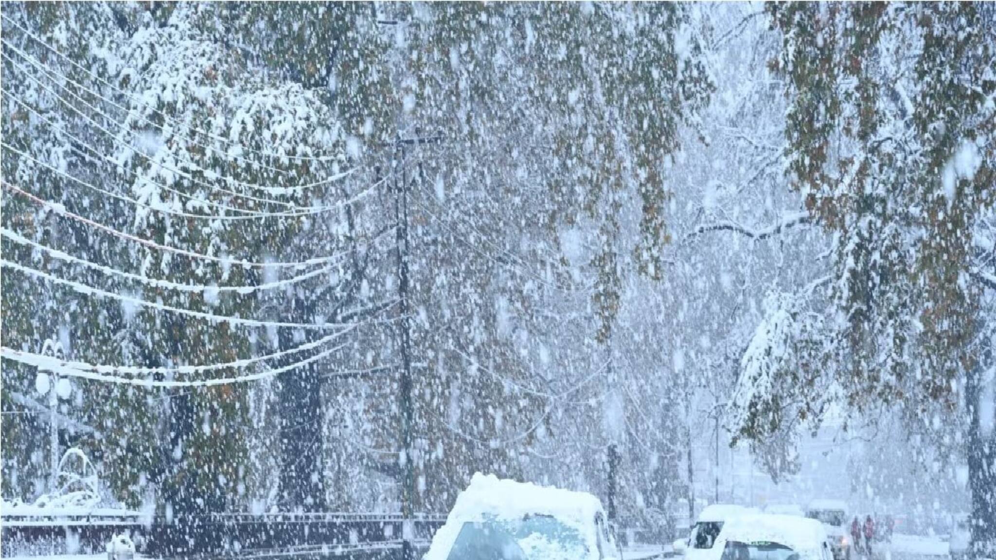 IMD Weather Update: উত্তরে পশ্চিমী ঝঞ্ঝা, দক্ষিণে বঙ্গোপসাগরে ঘূর্ণাবর্ত, জোড়া ফলায় তুষারপাত, ঝেঁপে বৃষ্টি, বাংলার ভাগ্যে কি