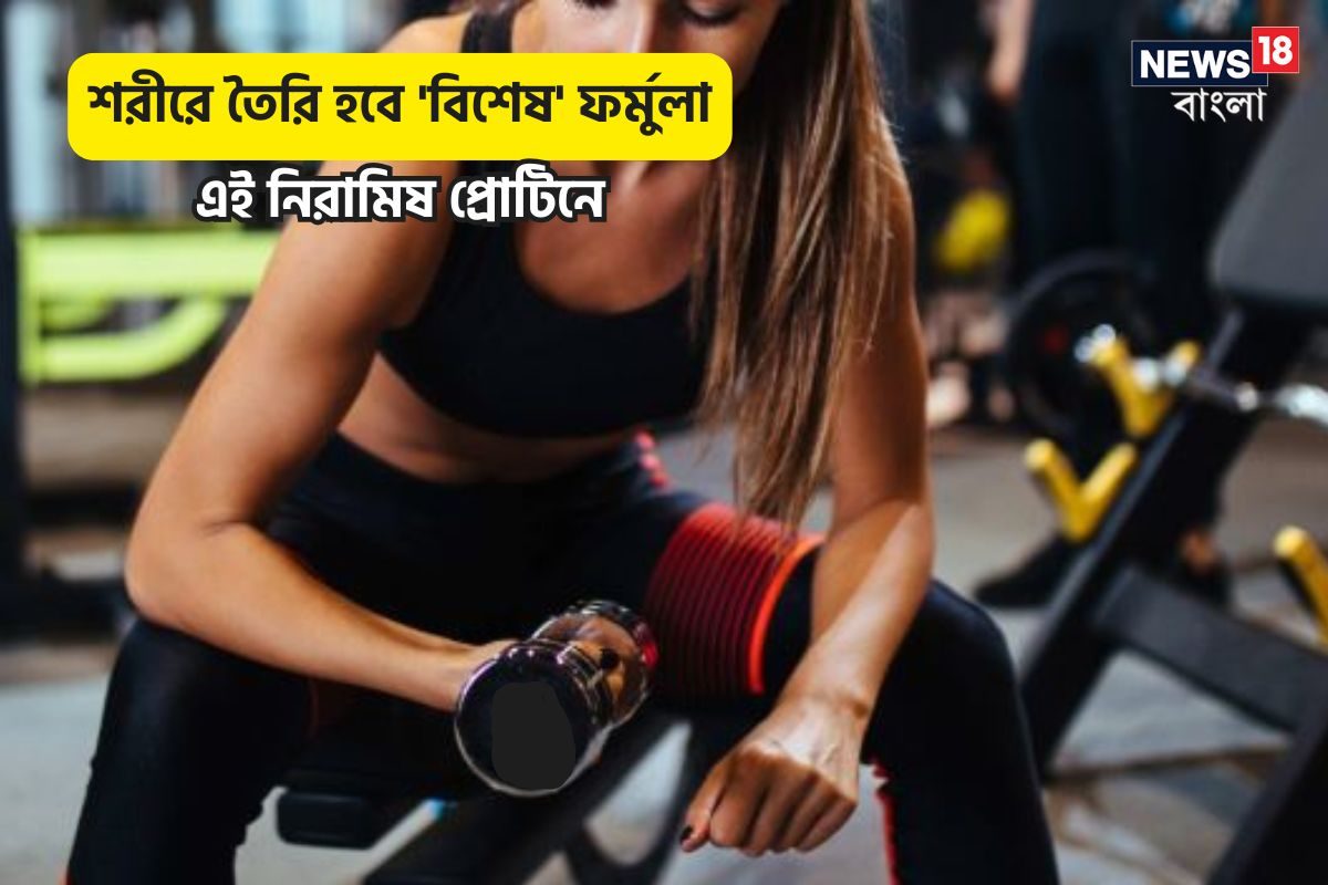 Veg Proteins: ডিমের থেকেও ৩ গুণ বেশি প্রোটিন সস্তার এই নিরামিষ বীজে! কয়েকদিনেই চাঙ্গা, শরীরের হাজারও ঘাটতি পূরণ করবে