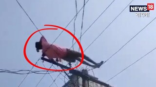 দেখুন কী কাণ্ড!