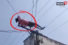 গলা অবধি মদ খেয়ে এমন কে করে? মাঝ-আকাশে দোল যুবকের! এই VDO দেখলে চোখ কপালে উঠবে