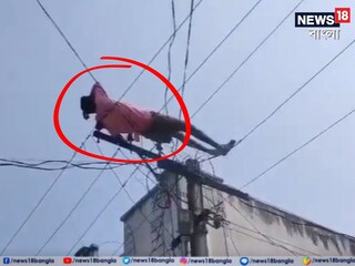 দেখুন কী কাণ্ড!