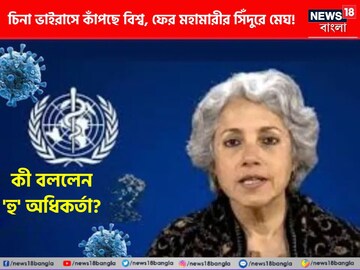 নতুন ভাইরাস নিয়ে কী বিবৃতি দিলেন 'হু' অধিকর্তা? প্রতীকী ছবি