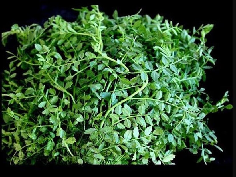 অস্বীকৃতি- এই প্রতিবেদনে উল্লিখিত সমস্ত বিষয় সাধারণ তথ্য এবং ঘরোয়া প্রতিকারের উপর ভিত্তি করে। এটি গ্রহণ করার আগে, একজন বিশেষজ্ঞ ডাক্তারের সঙ্গে পরামর্শ করুন। নিউজ ১৮ বাংলা এটি নিশ্চিত করে না।