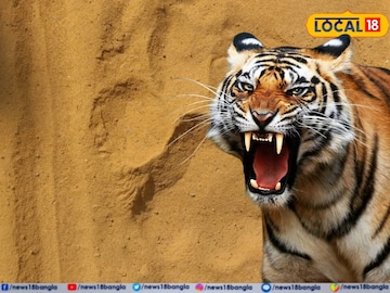 ফের বাংলায় বাঘের আতঙ্ক