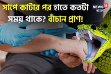 সাপে কেটেছে, টের পাননি? হাতে কতক্ষণ সময়? 'কেউটে'র বিষ থেকে বাঁচার উপায় জানুন!