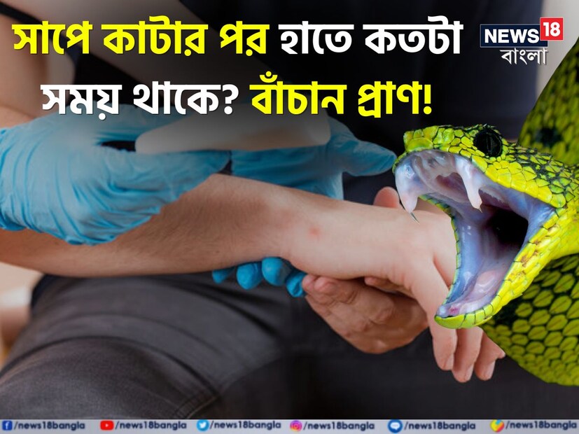 যদি আপনি সাপের বিষ থেকে বাঁচার উপায় জানেন তাহলে অন্যের জীবনও বাঁচাতে পারবেন। 

অনেকেই ভাবেন, কোবরার ছোবল মানেই বাঁচার আশা নেই, তা কিন্তু নয়! সর্প বিশেষজ্ঞদের এই পরামর্শ জেনে নিন।

 