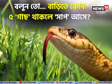 বাড়িতে কোন 'গাছ' থাকলে 'সাপ' আসে বলুন তো...? চমকে দেবে এই ৫ 'নাম', শিওর!