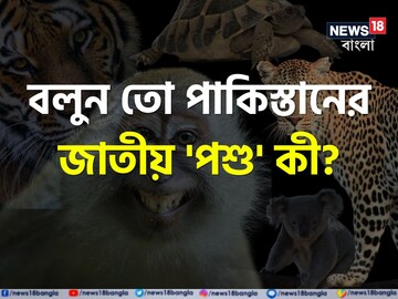 পাকিস্তানের জাতীয় 'পশু' কী জানেন...? শুনলেই চমকাবেন 'নাম'!