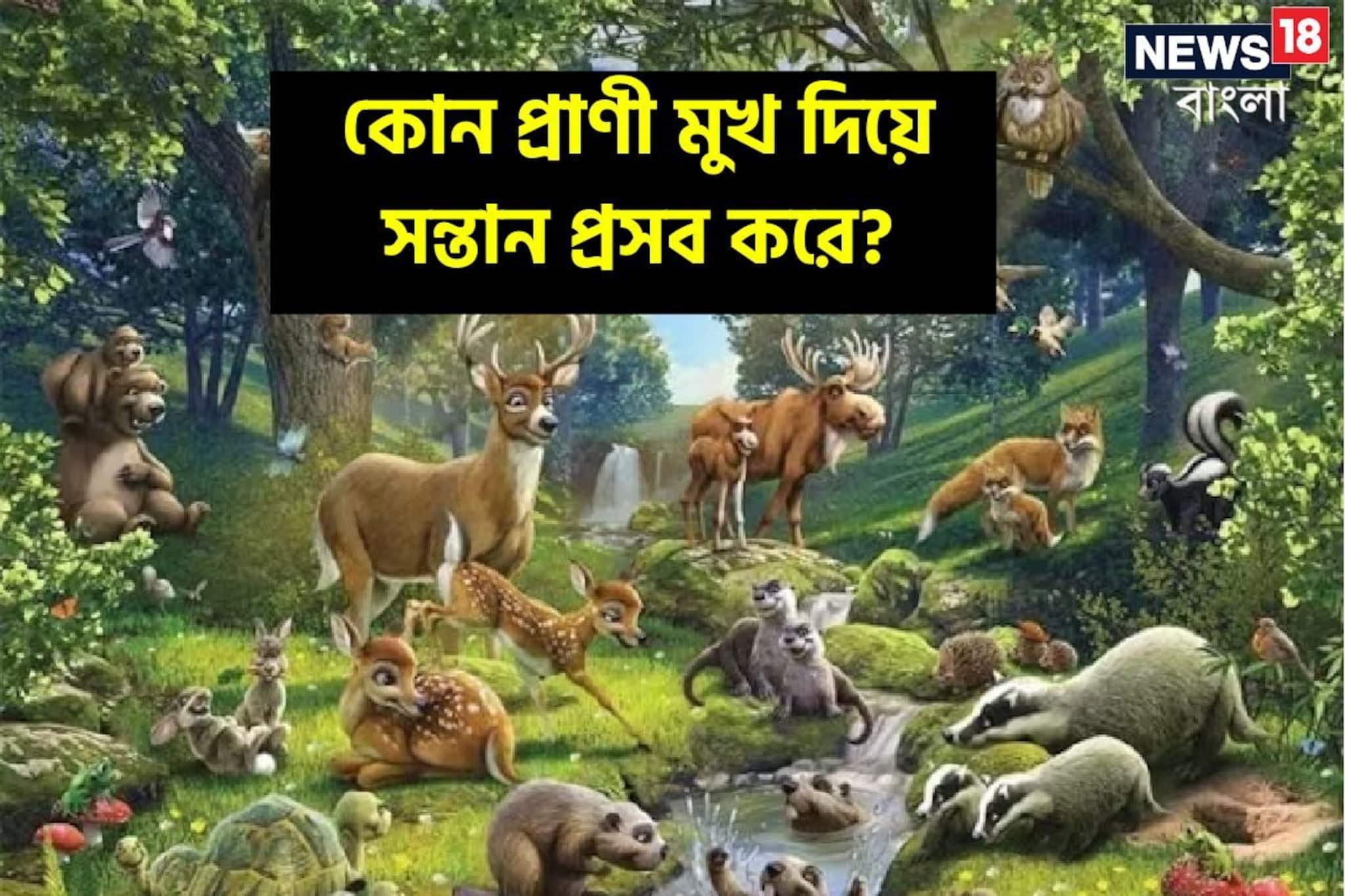 বলুন তো, কোন প্রাণী 'মুখ' দিয়ে সন্তান প্রসব করে...? আশেপাশেই রয়েছে কিন্তু!