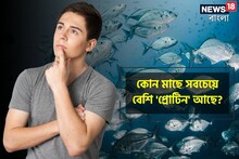 কোন মাছে সবচেয়ে বেশি 'প্রোটিন' আছে...? খেলেই হাড় মজবুত, মস্তিস্ক 'সচল'!