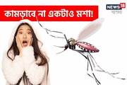 ঘরে রাখলে 'এই কাঠ' আজীবন মশার হাত থেকে রেহাই! গভীর ঘুমে তলাবেন...জেনে নিন