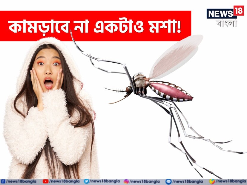 মশার জ্বালায় দু'চোখের পাতা এক করতে পারেন না? দুপুরে হোক বা রাতে, শুতে গেলেই শুরু হয়ে যায় মশার গান? সঙ্গে কামড়ের উৎপাত? আর নয়। এবার ঘুম হবে গভীর। ঘরে শুধু ফেলে রাখুন এক খণ্ড কাঠ। সব মশা পালাবে। ঘুমের জন্যও ভাল। জানেন কী কাঠ? 
